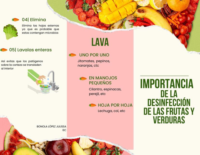 DESINFECCIÓN DE FRUTAS Y VERDURAS