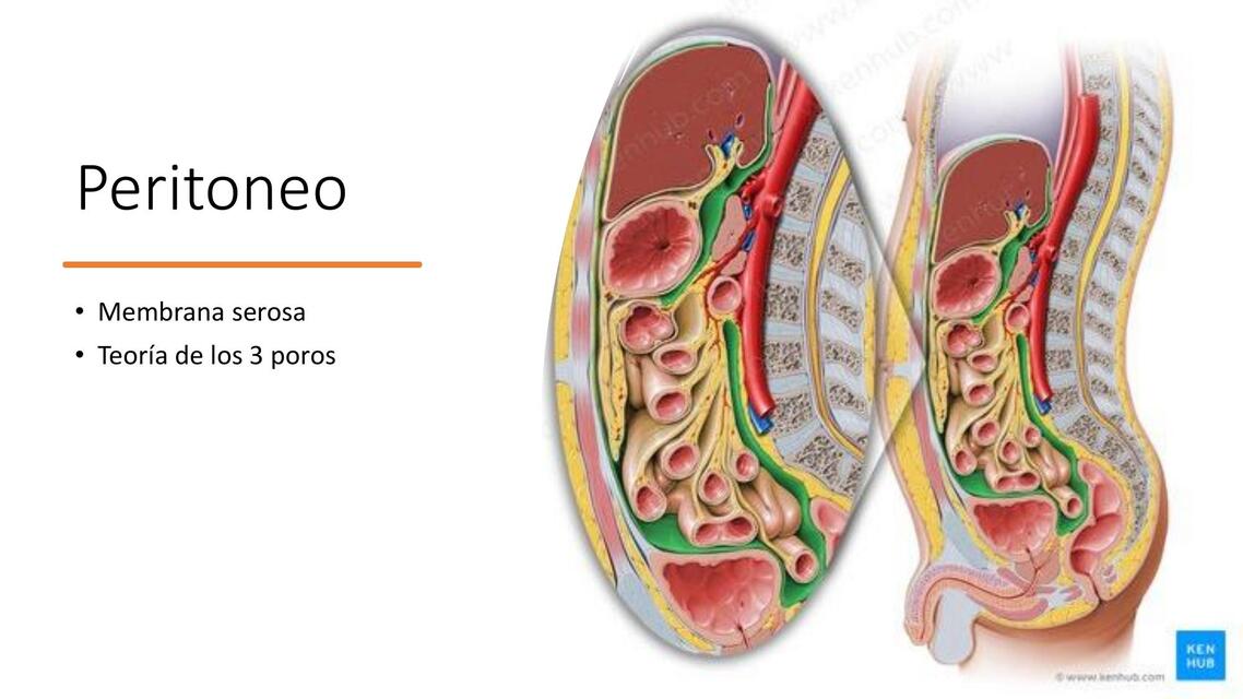 dialis peritoneal