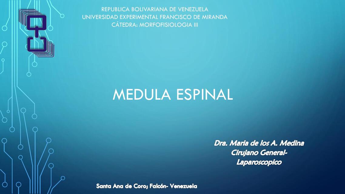 MÉDULA ESPINAL