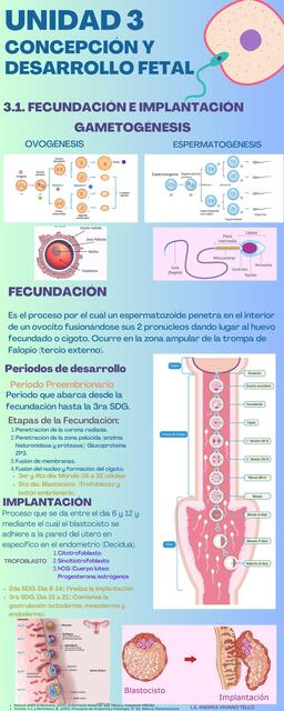 UNIDAD 3 MATERNO INFANTIL