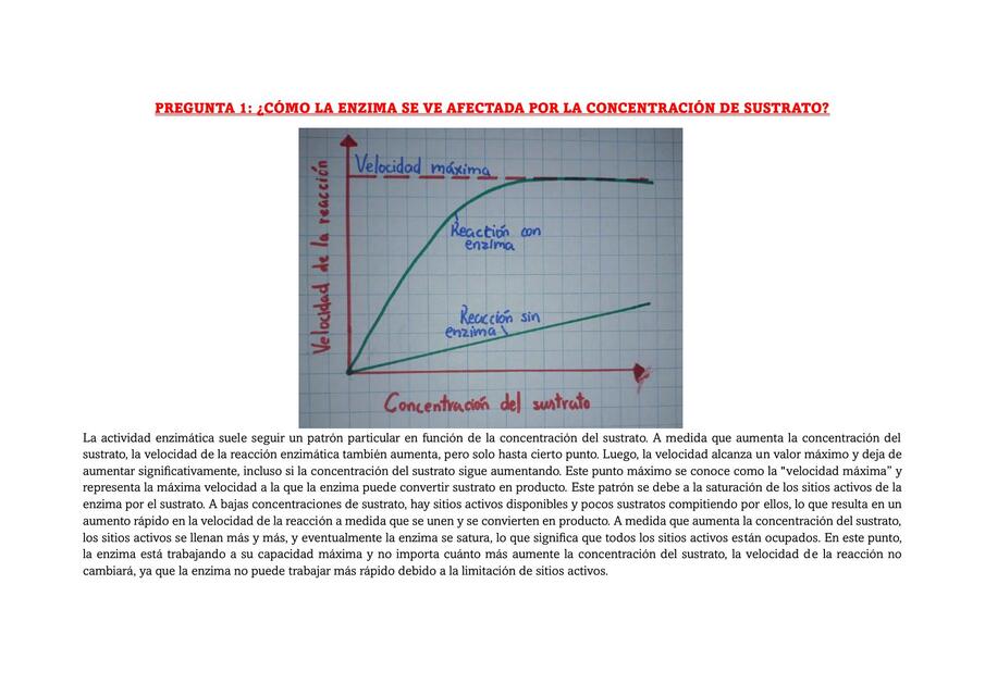 Semana 2 tarea