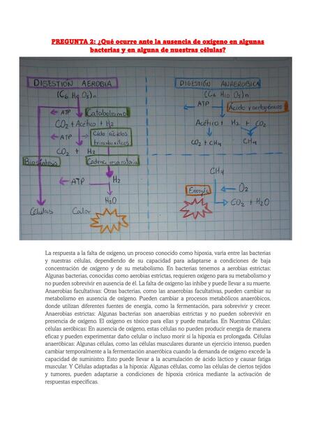 Semana 3 tarea