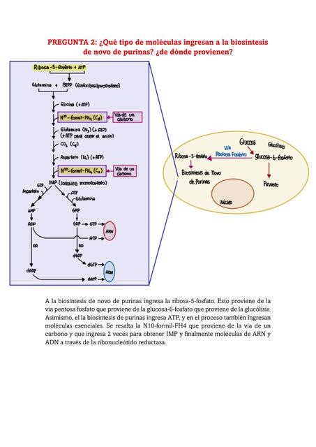 Semana 9 tarea