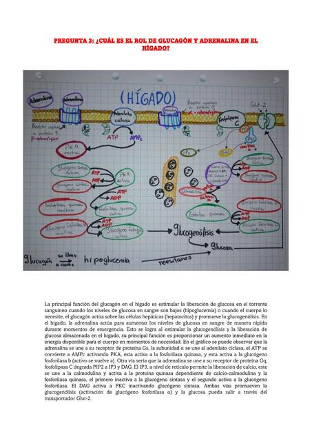 Semana 4 tarea