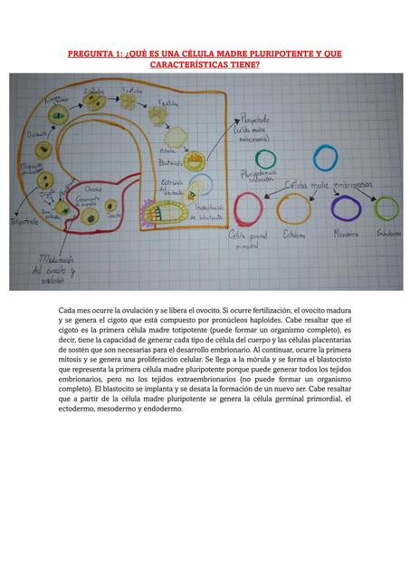 Semana 7 tarea