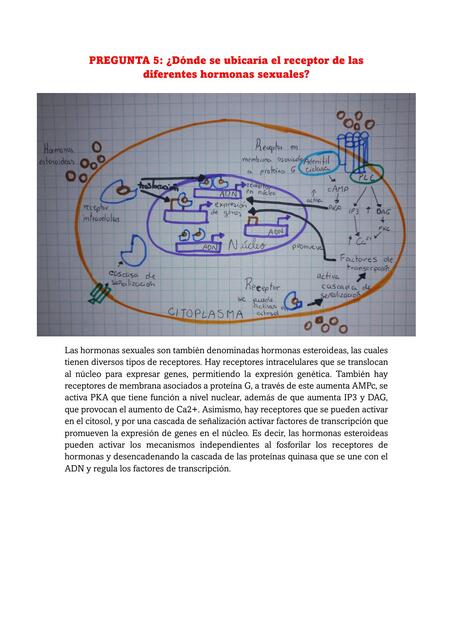 Semana 6 tarea