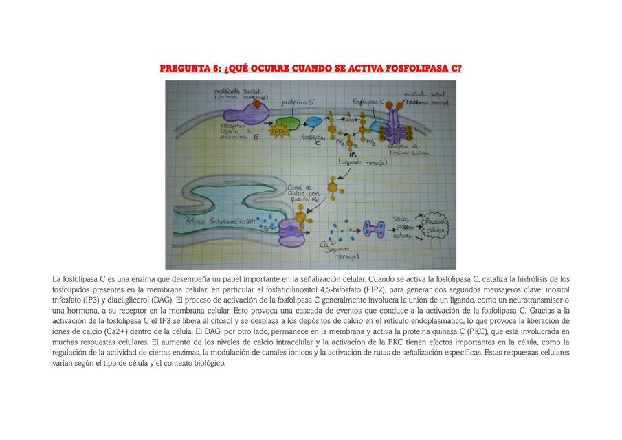 Semana 1 Tarea