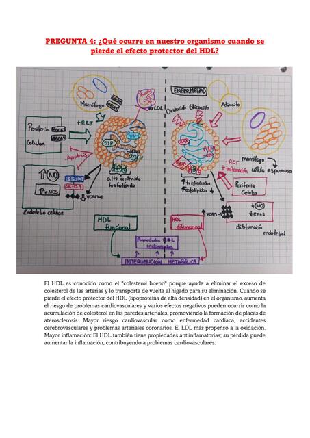 Semana 5 tarea