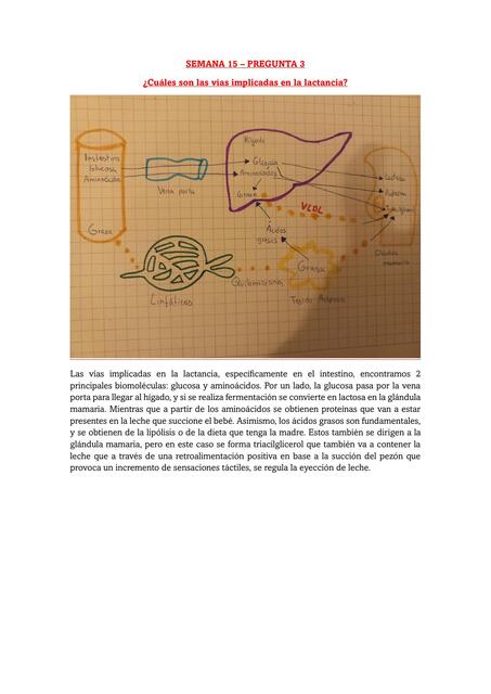 Semana 15 tarea