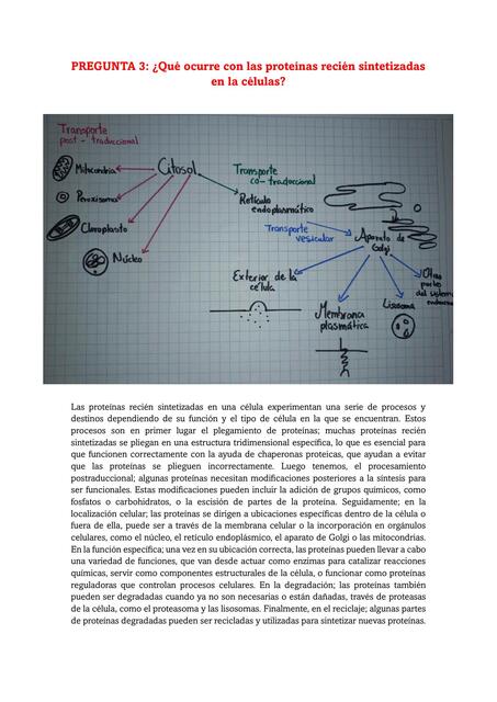 Semana 10 tarea