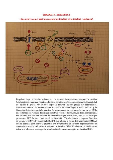 Semana 13 tarea