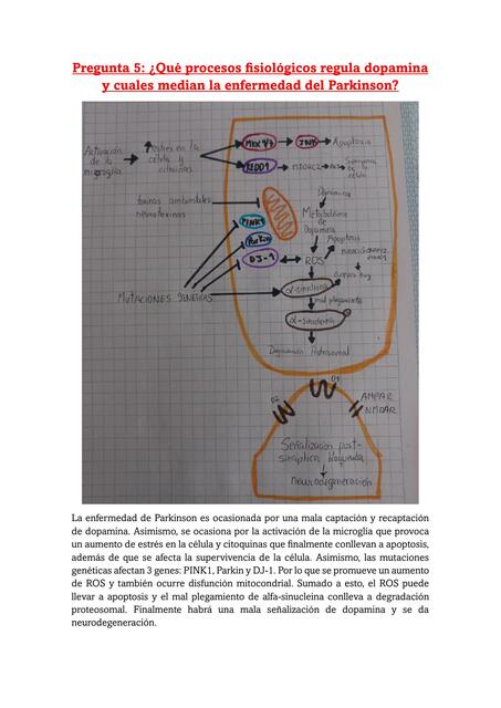 Semana 12 tarea