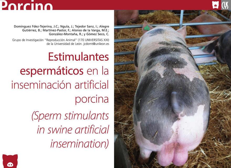 Estimulantes espermáticos en la inseminación artificial porcina