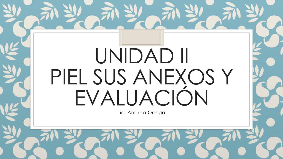 Evaluación de piel y sus anexos