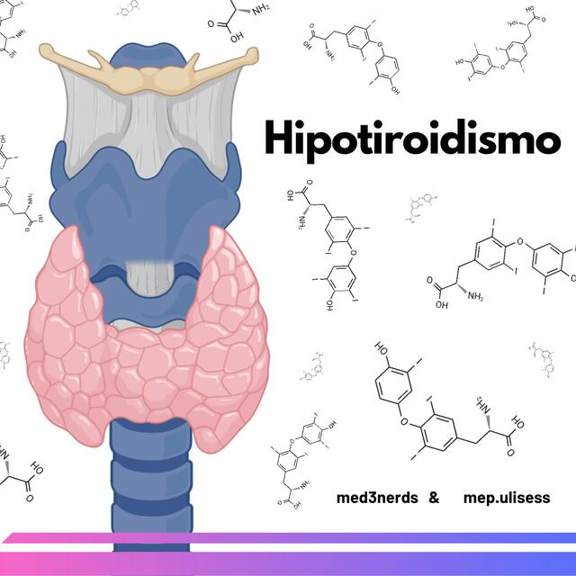 Hipotiroidismo primario secundario y terciario End