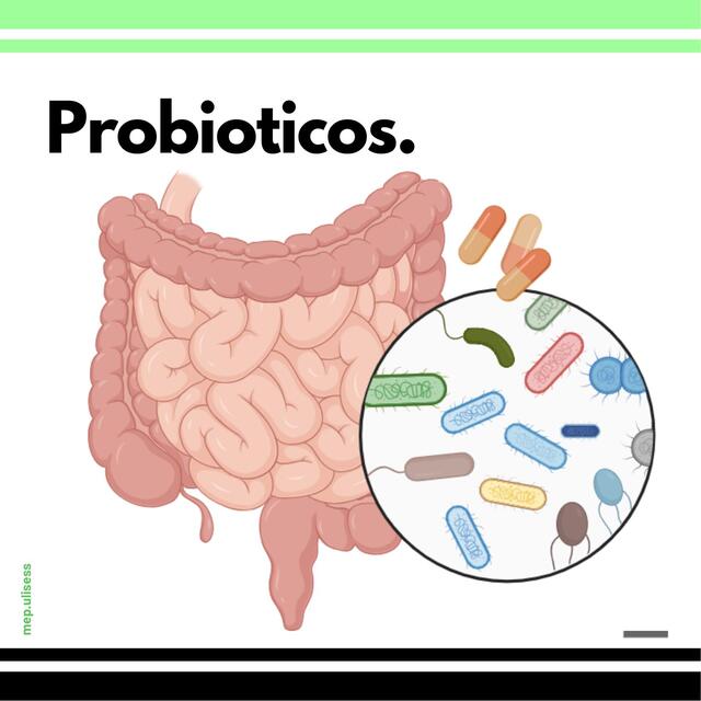 Probioticos