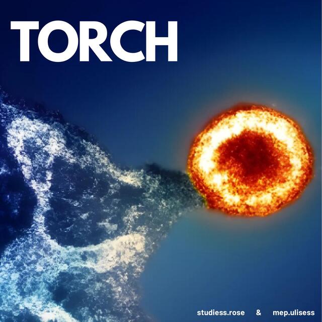 TORCH