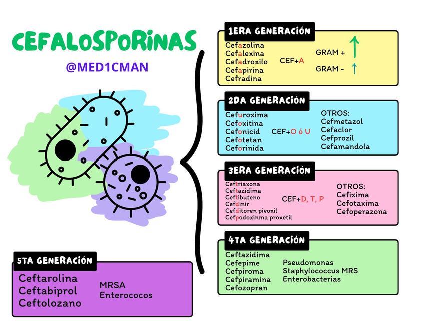 CEFALOSPORINAS CLASIFICACIÓN