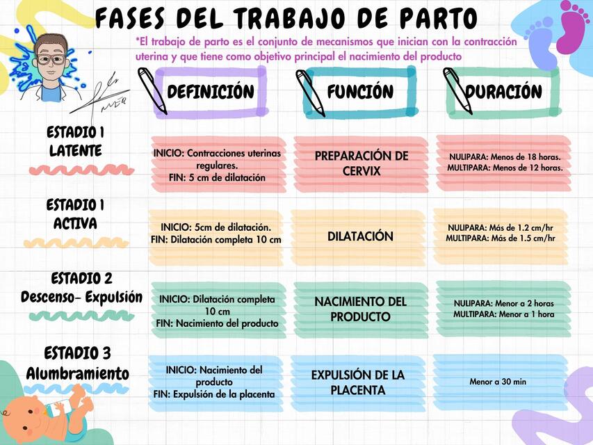 FASES DEL TRABAJO DE PARTO