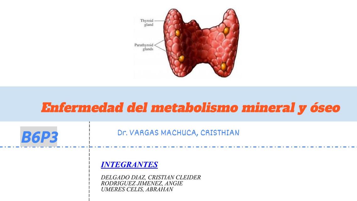 MINERAL y OSEO OK