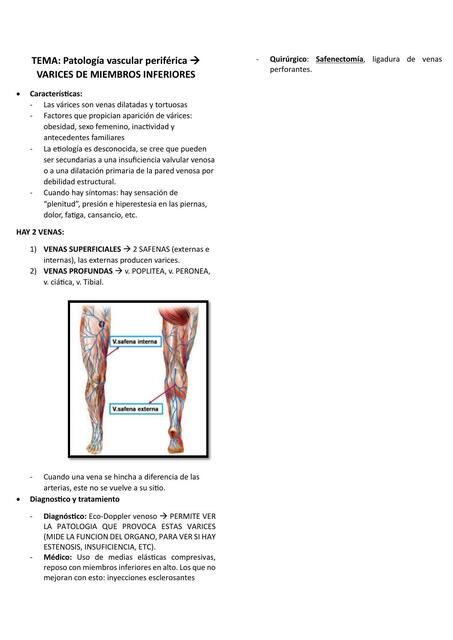 Patología vascular periférica 