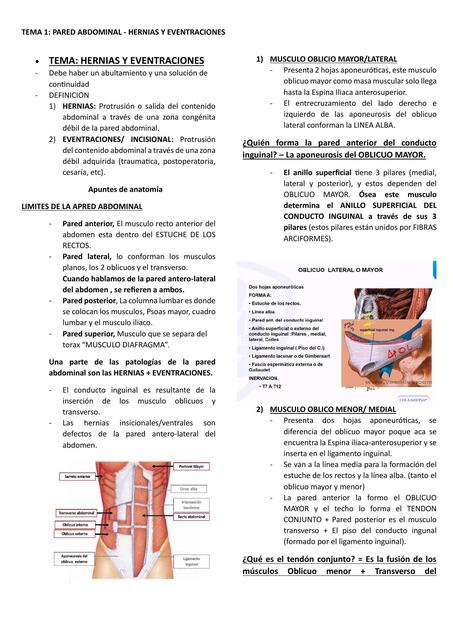 Hernias y eventraciones 