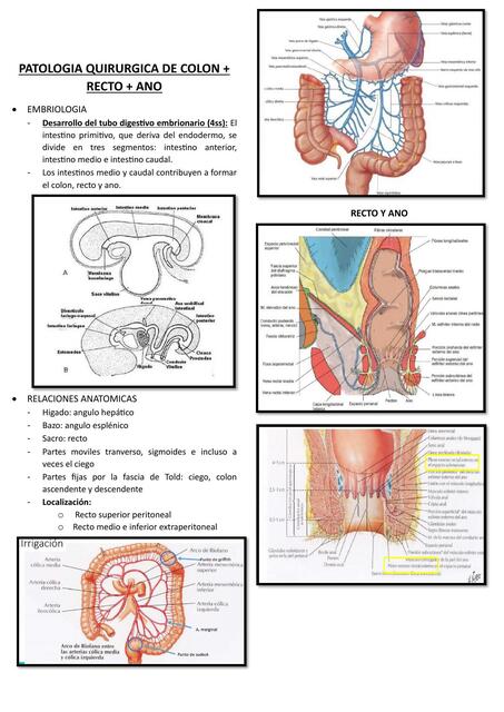 PATOLOGIA QUIRURGICA DE COLON + RECTO + ANO