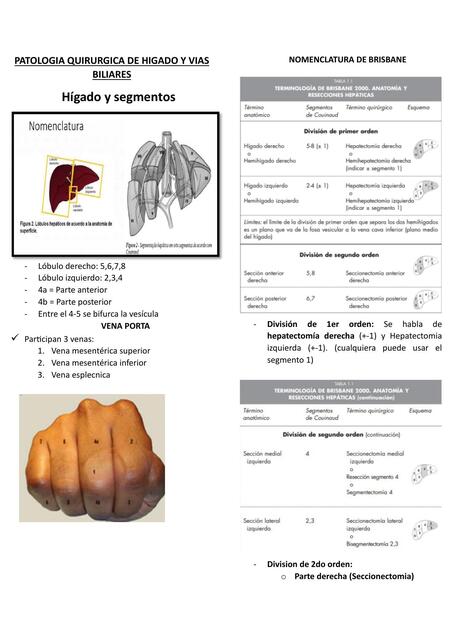 Patología quirúrgica de hígado y vías biliares 