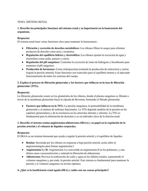 TEMA - SISTEMA RENAL
