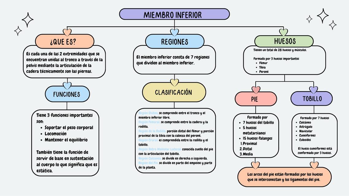 Cuadro Sinoptico Miembro Inferior