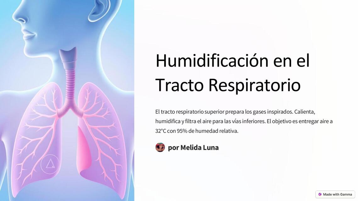 Humidificacion en el Tracto Respiratorio