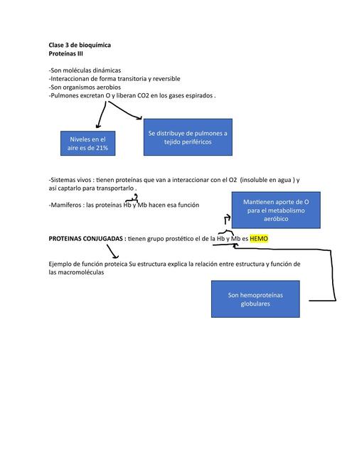 Documento1