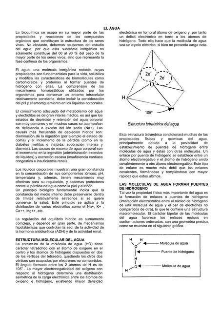 EL AGUA-BIOQUIMICA