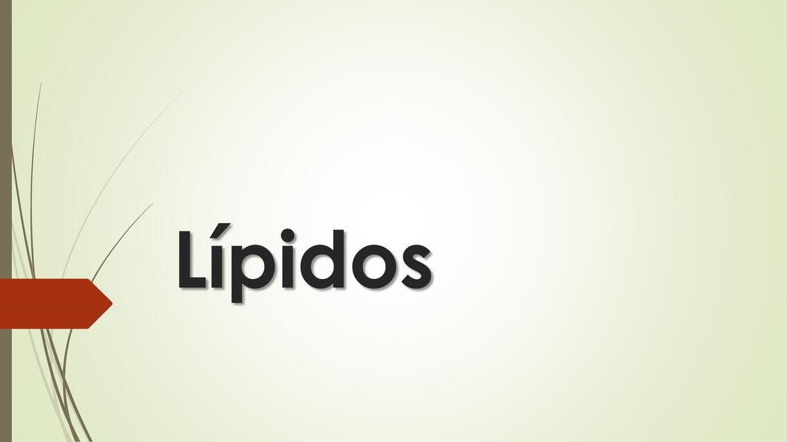 Lípidos