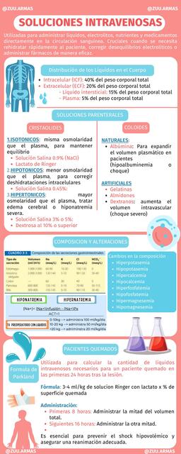 SOLUCIONES INTRAVENOSAS