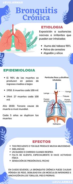 Bronquitis cronica