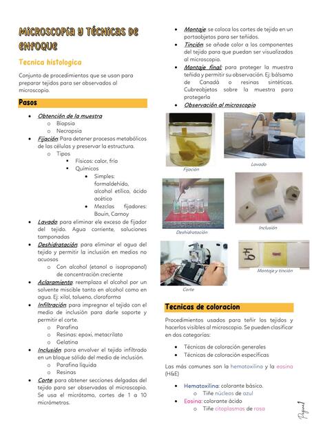 HISTOLOGIA resumen Ross - studymedwithanto_