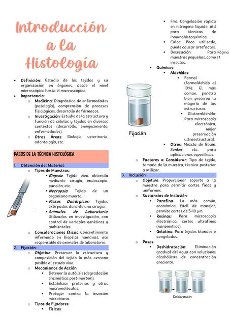 histologia hechos con apuntes de cátedra - studymedwithanto_