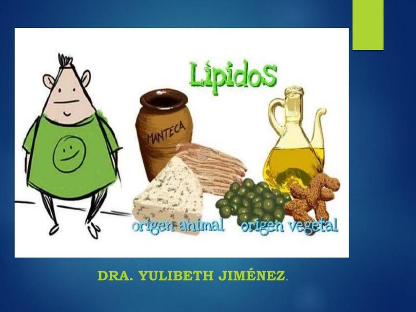 LIPIDOS