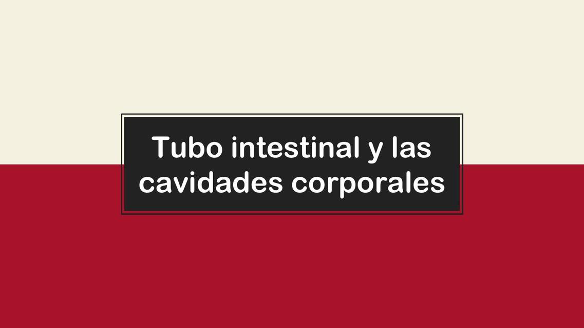 Exposición de embriología: Tubo intestinal y las cavidades corporales