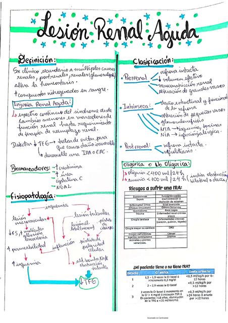 Lesión Renal Crónica