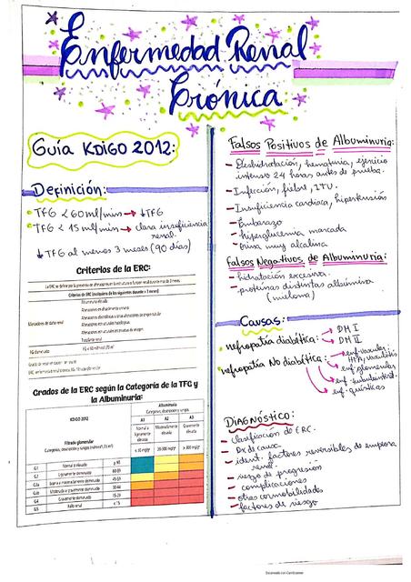 Enfermedad Renal Crónica