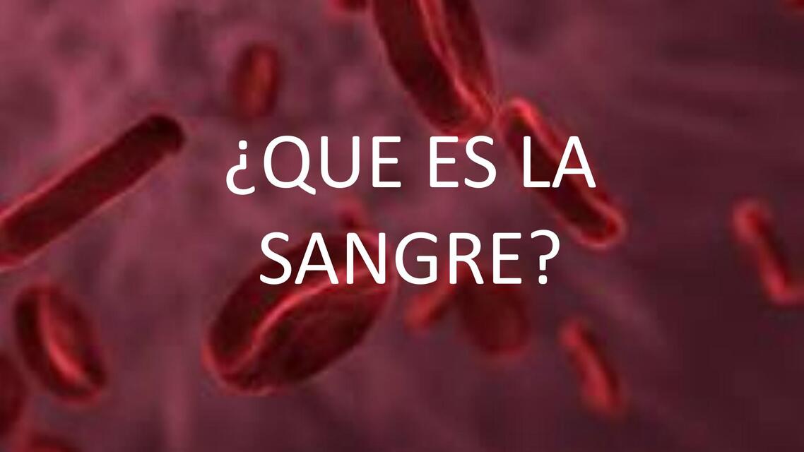 LA SANGRE EXPO