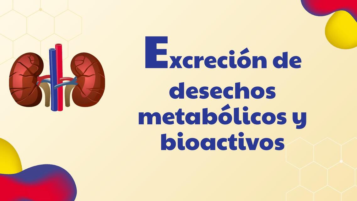 Excreción de desechos metabólicos y bioactivos