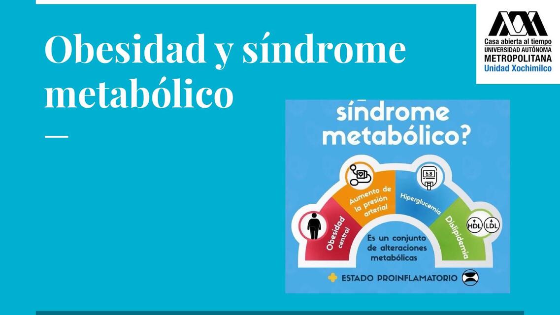 Obesidad y síndrome metabólico