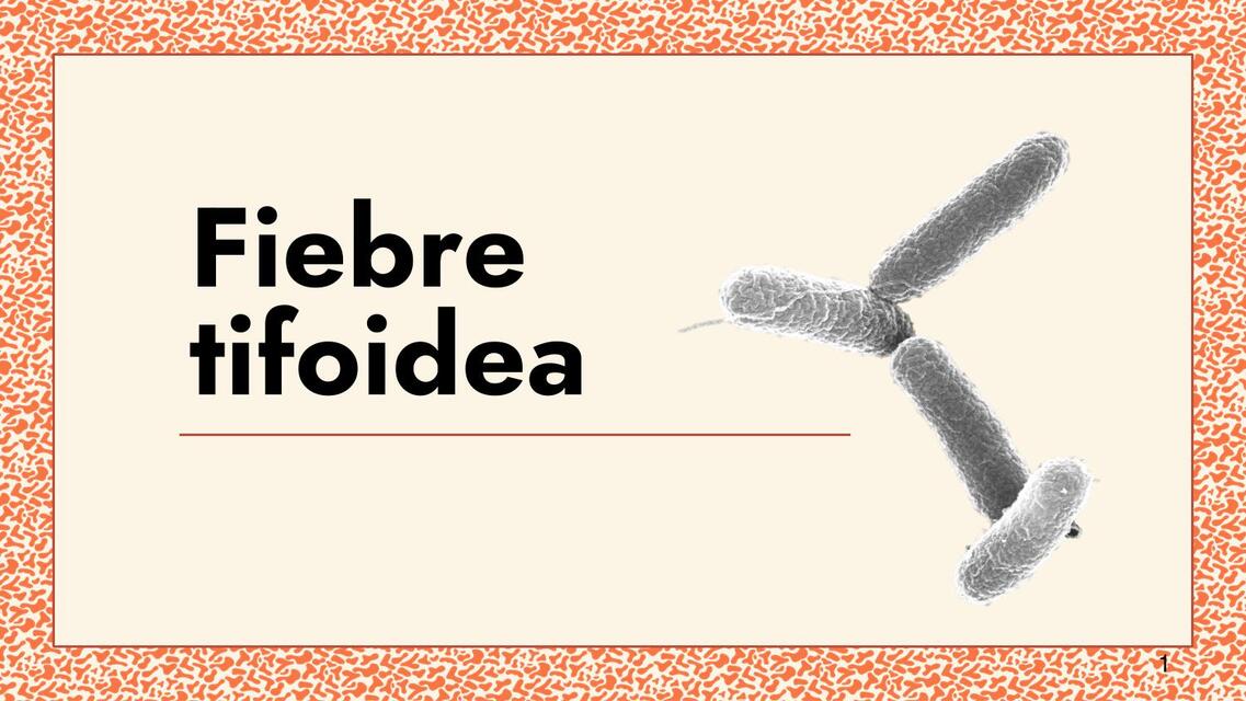 Fiebre tifoidea