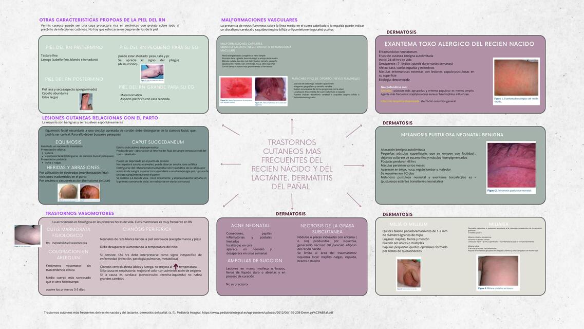 Trastornos cutaneos mas frecuentes del recien naci