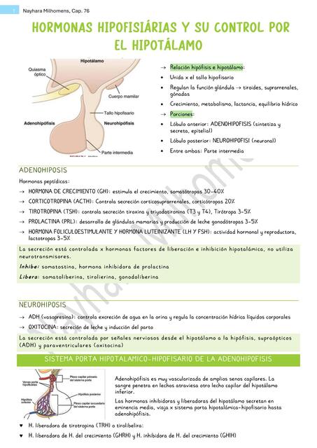 Cap 76 Guyton hormonas hipofisarias y su control por le h