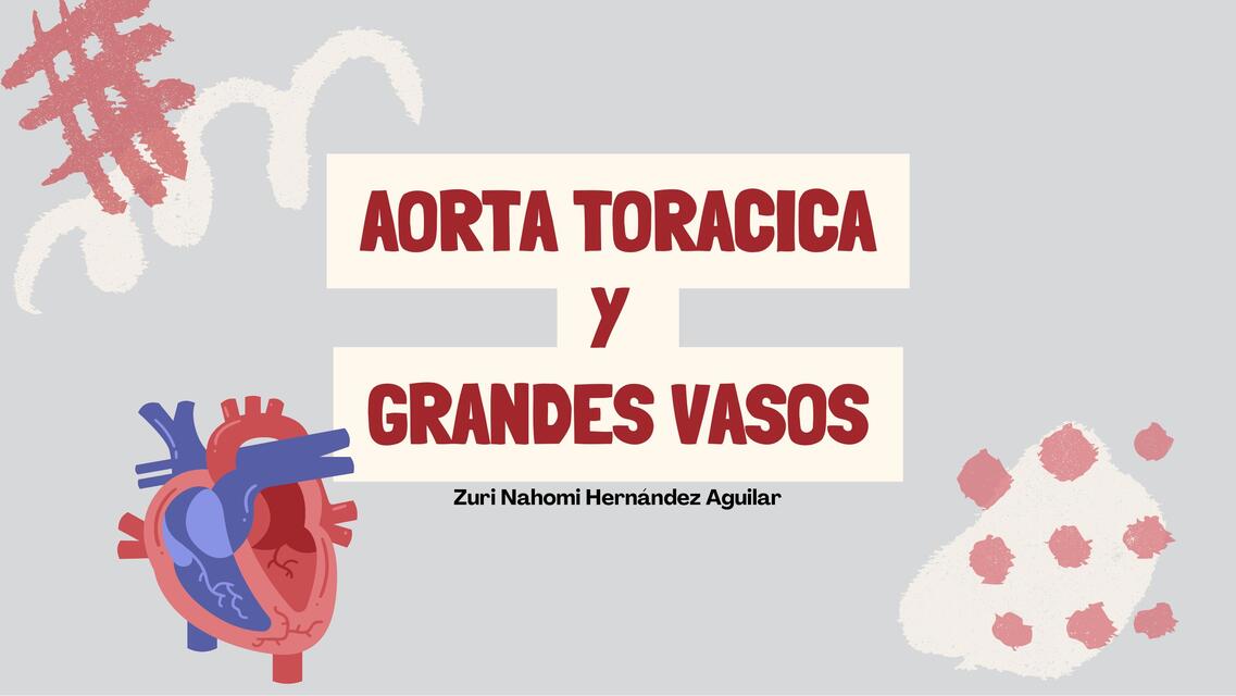 AORTA20TORACICA20y20GRANDES20VASOS