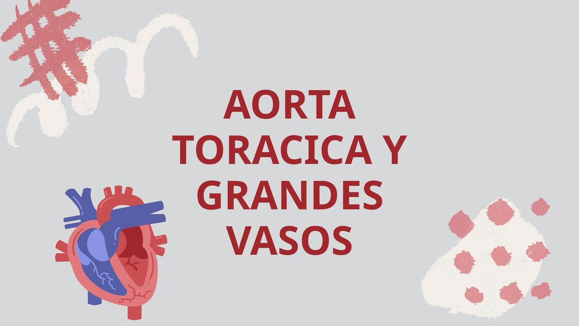 AORTA TORACICA y GRANDES VASOS pptx